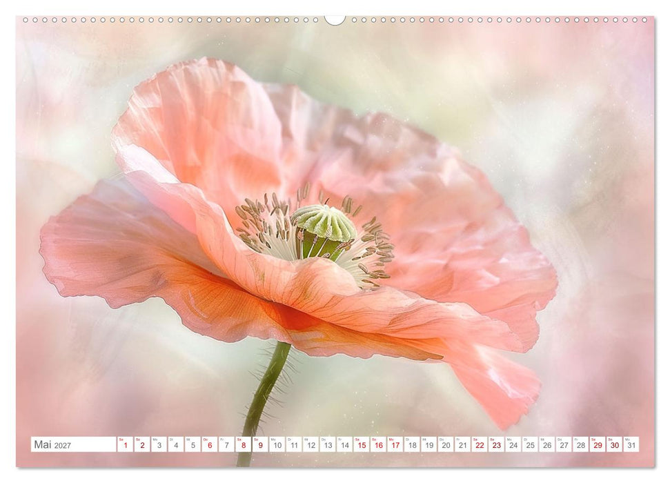 Bezaubernde Mohnblumen (CALVENDO Premium Wandkalender 2027)
