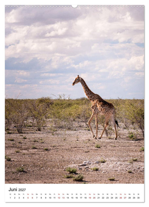 Naturparadies Namibia (CALVENDO Wandkalender 2027)