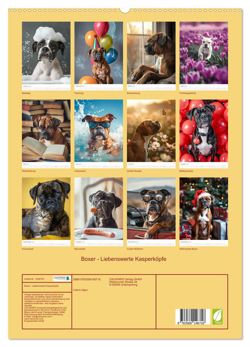Boxer - Liebenswerte Kasperköpfe (CALVENDO Premium Wandkalender 2027)
