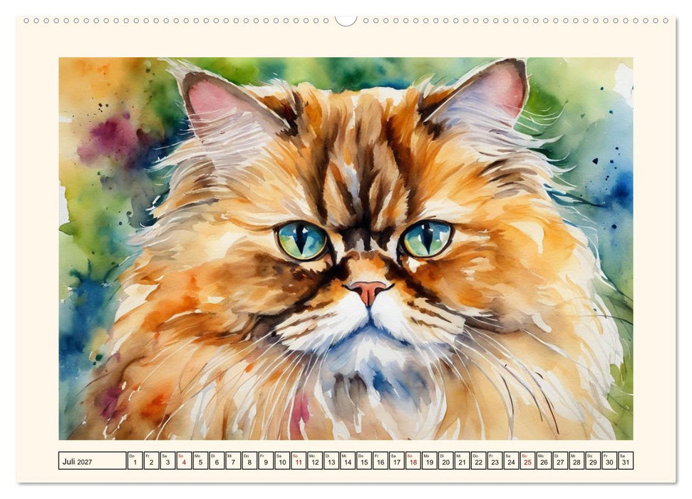Samtpfoten im Portrait (CALVENDO Premium Wandkalender 2027)