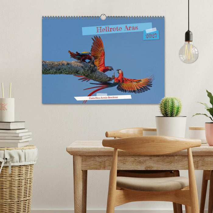 Hellrote Aras (CALVENDO Wandkalender 2027)