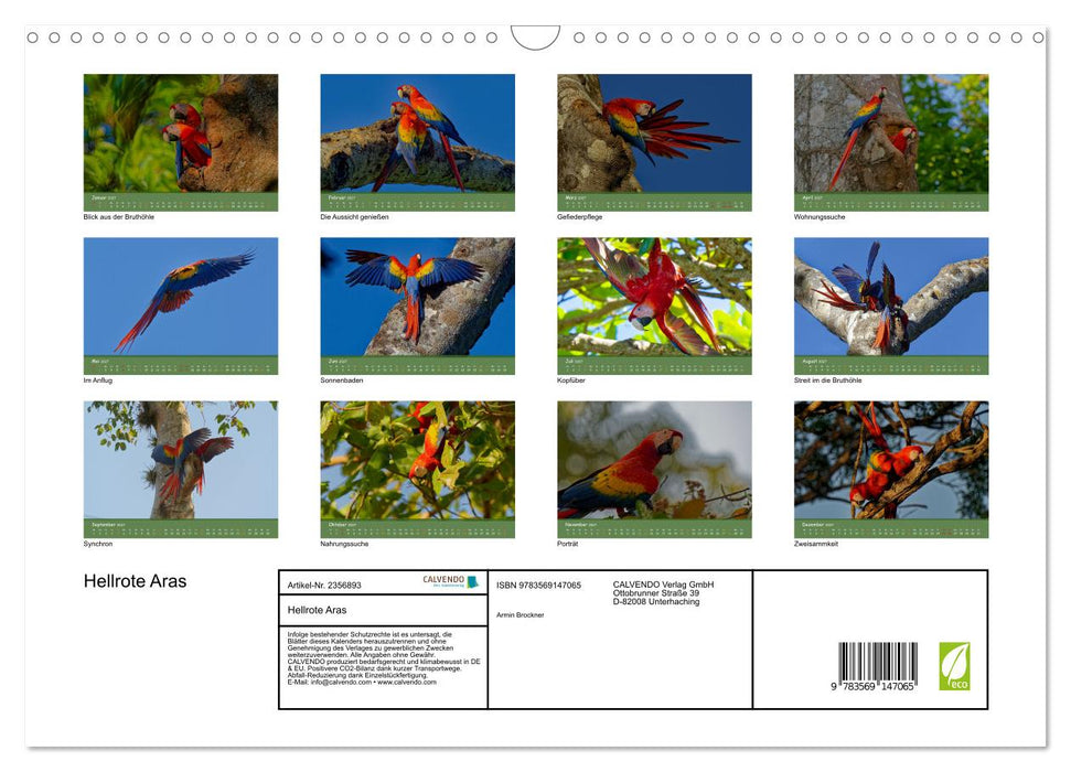 Hellrote Aras (CALVENDO Wandkalender 2027)