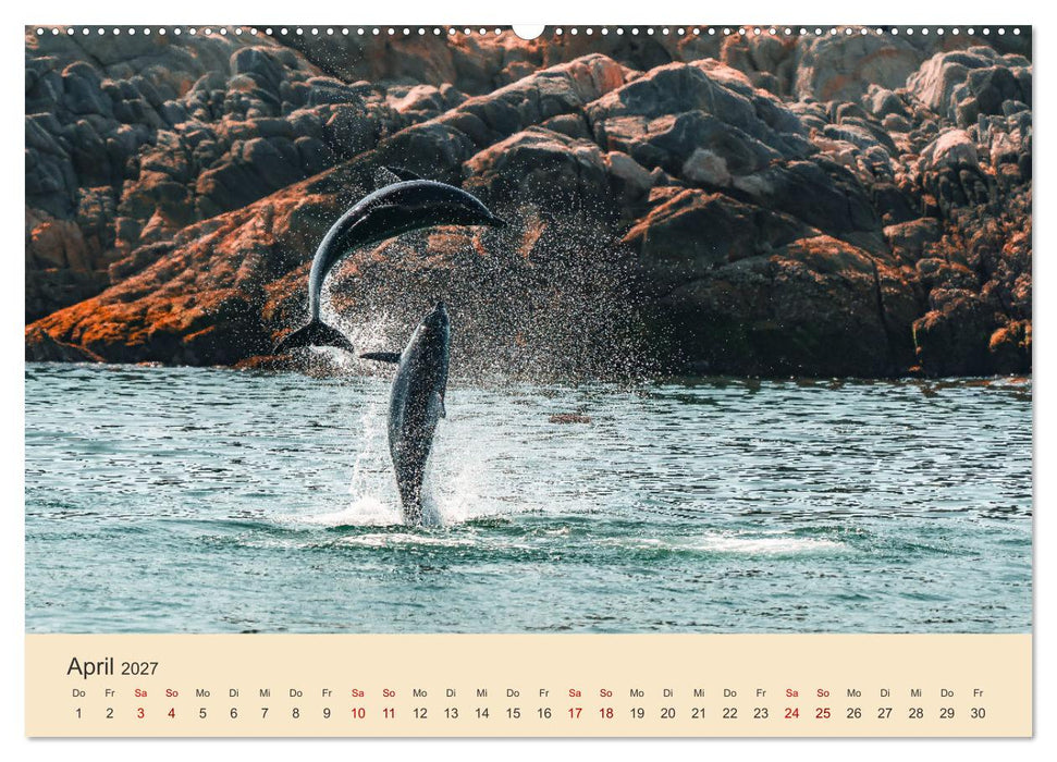 OMAN - Orientperle (CALVENDO Premium Wandkalender 2027)