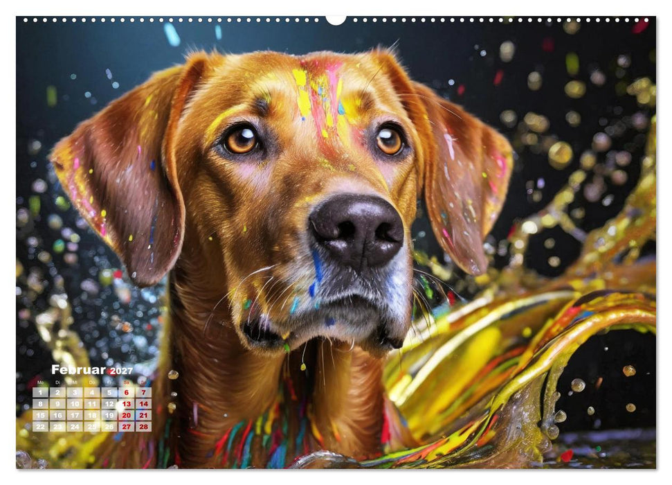 Splash - Hunde im Farbrausch (CALVENDO Wandkalender 2027)