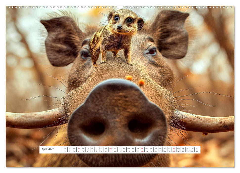 Tier Selfies (CALVENDO Wandkalender 2027)