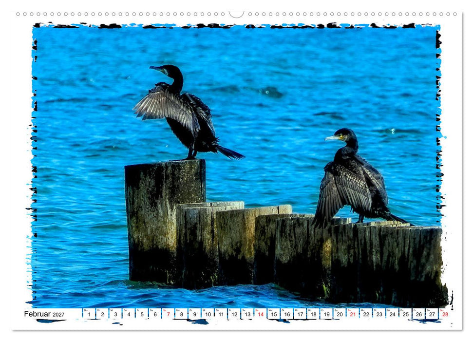 Zingst Sehnsucht nach Meer (CALVENDO Wandkalender 2027)