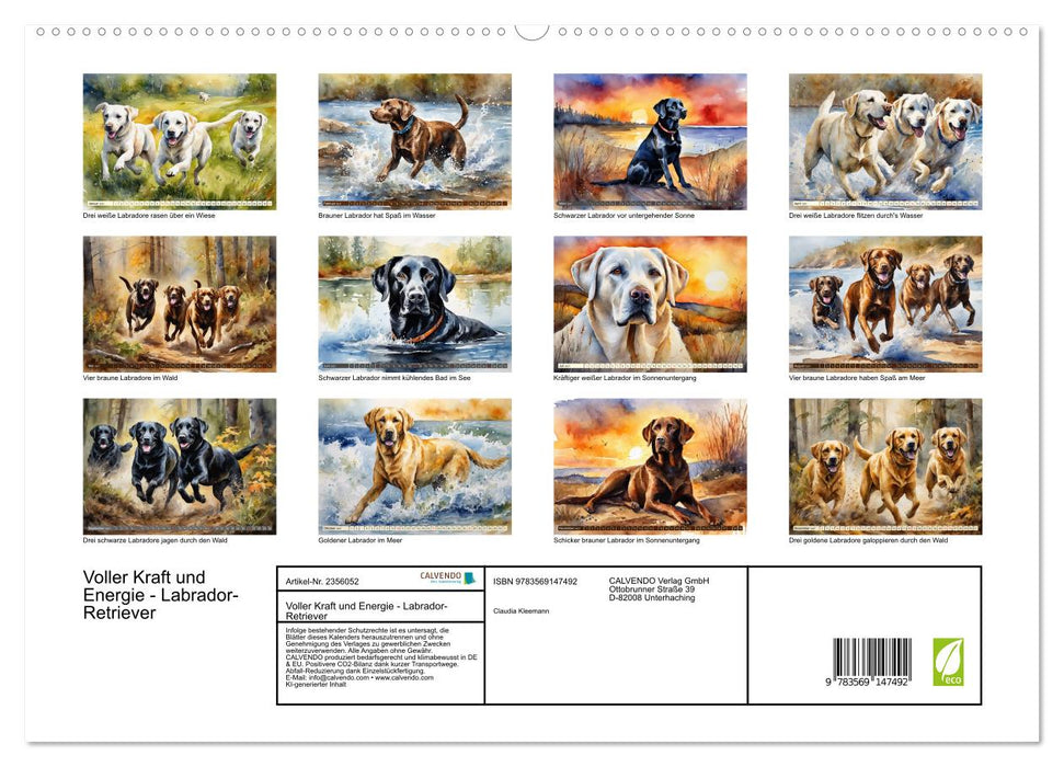 Voller Kraft und Energie - Labrador-Retriever (CALVENDO Premium Wandkalender 2027)