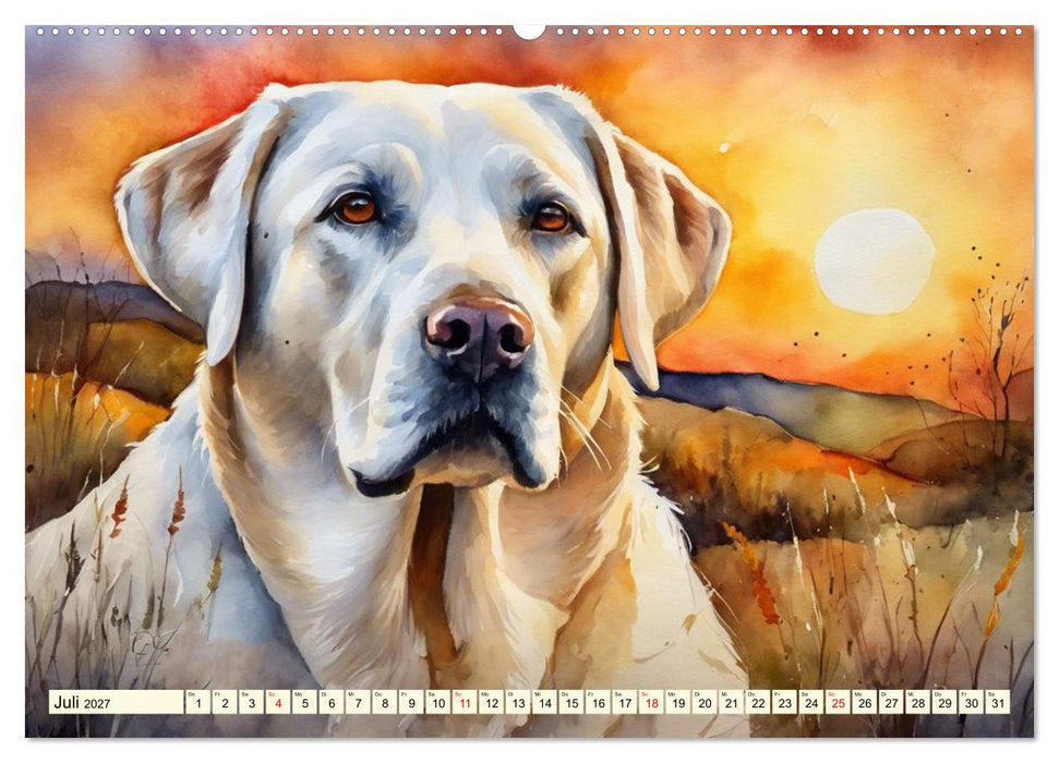 Voller Kraft und Energie - Labrador-Retriever (CALVENDO Premium Wandkalender 2027)