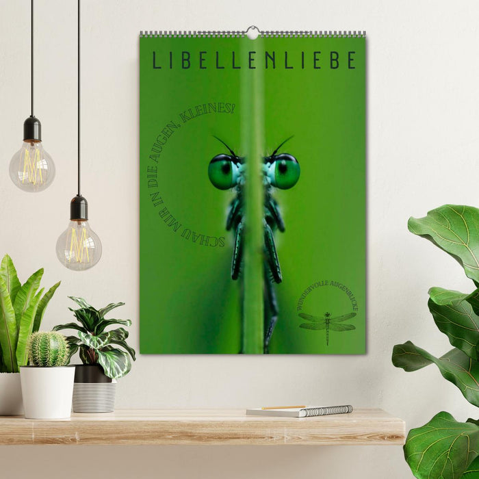 LibellenLiebe - Schau mir in die Augen, Kleines! (CALVENDO Wandkalender 2027)