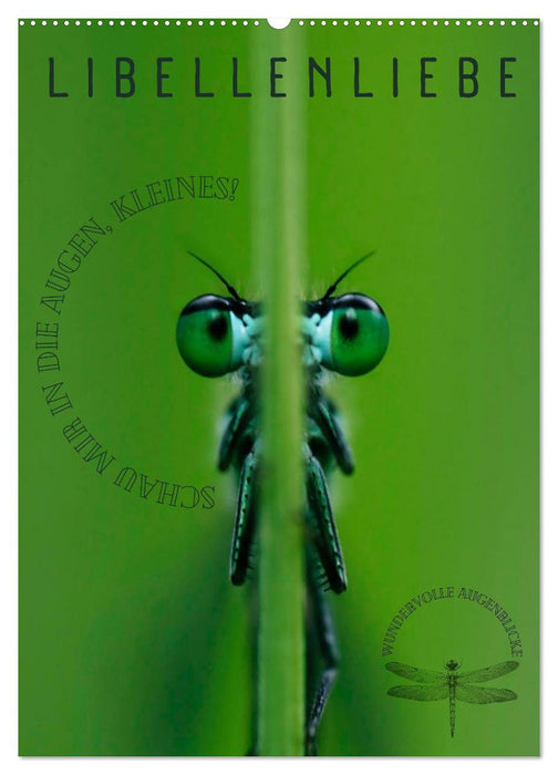 LibellenLiebe - Schau mir in die Augen, Kleines! (CALVENDO Wandkalender 2027)