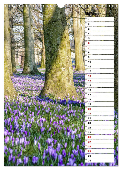 Westküste - Zwischen St. Peter Ording, Büsum und Elbe (CALVENDO Wandkalender 2027)