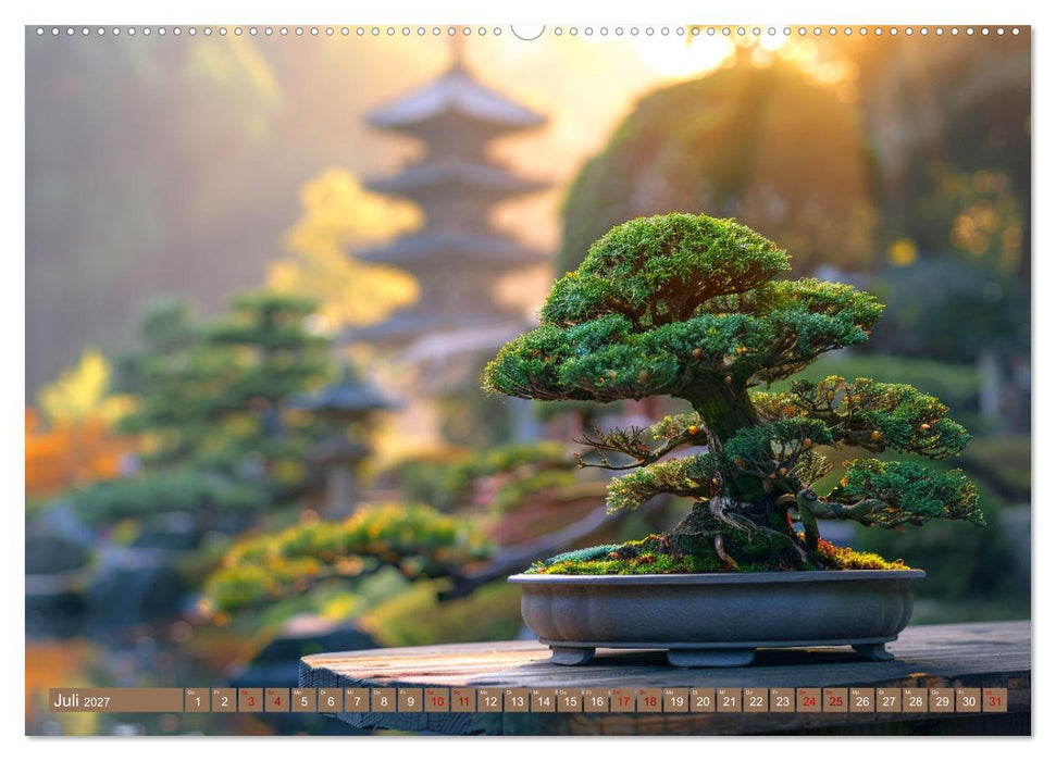 Bonsai meditativ (CALVENDO Premium Wandkalender 2027)