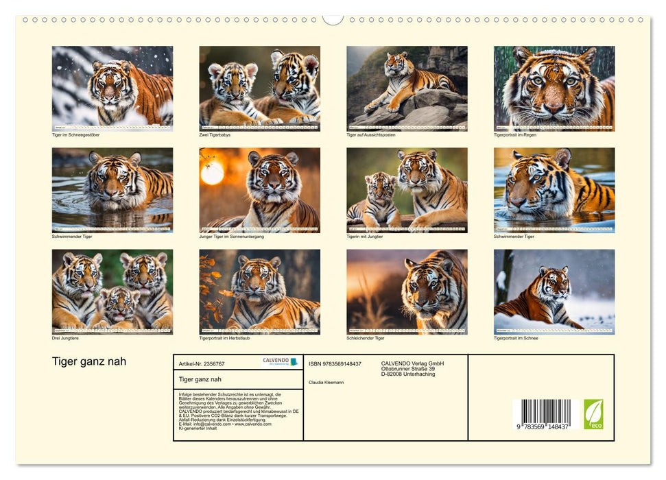 Tiger ganz nah (CALVENDO Premium Wandkalender 2027)