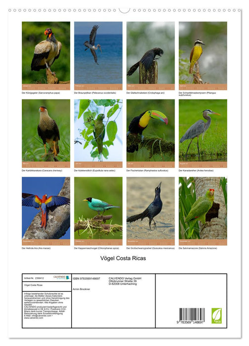Vögel Costa Ricas (CALVENDO Premium Wandkalender 2027)