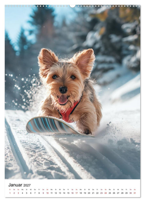 Hunde haben Spaß (CALVENDO Premium Wandkalender 2027)