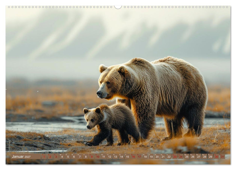 Wildes Bärenland (CALVENDO Premium Wandkalender 2027)
