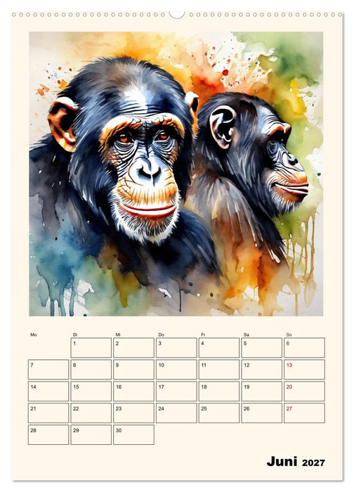 Schimpansen & Gorillas (CALVENDO Premium Wandkalender 2027)