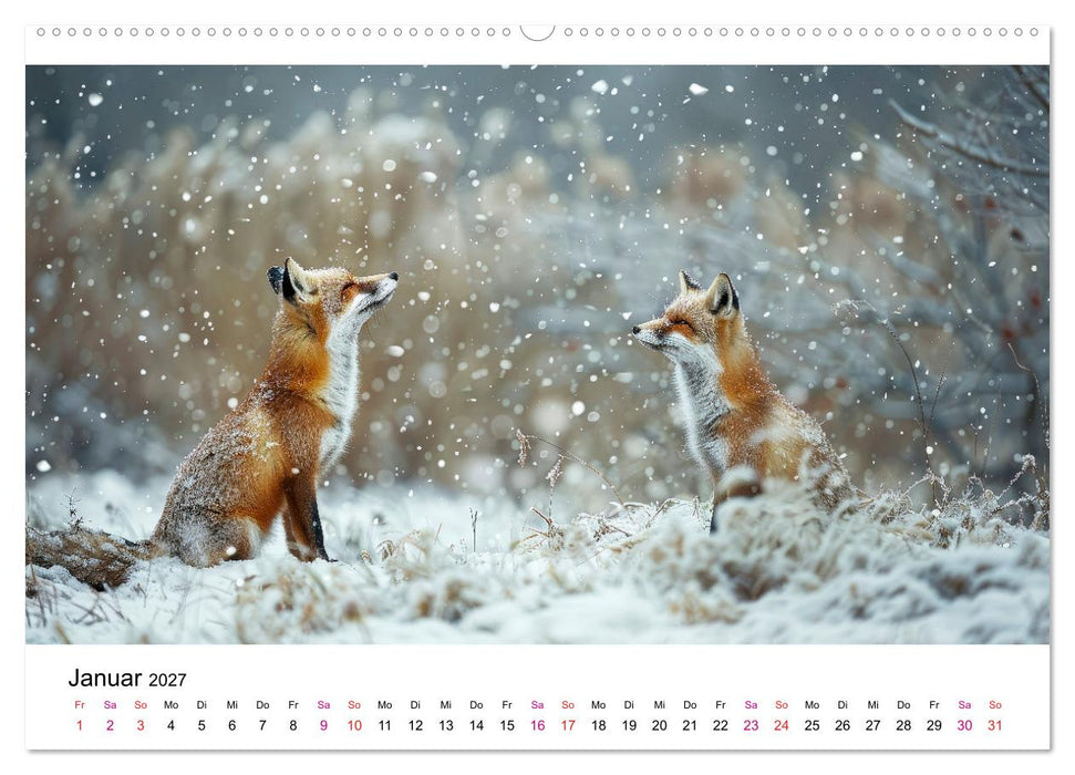 Fuchs - schöne Momente (CALVENDO Premium Wandkalender 2027)