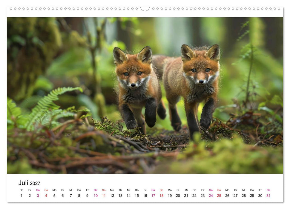 Fuchs - schöne Momente (CALVENDO Premium Wandkalender 2027)