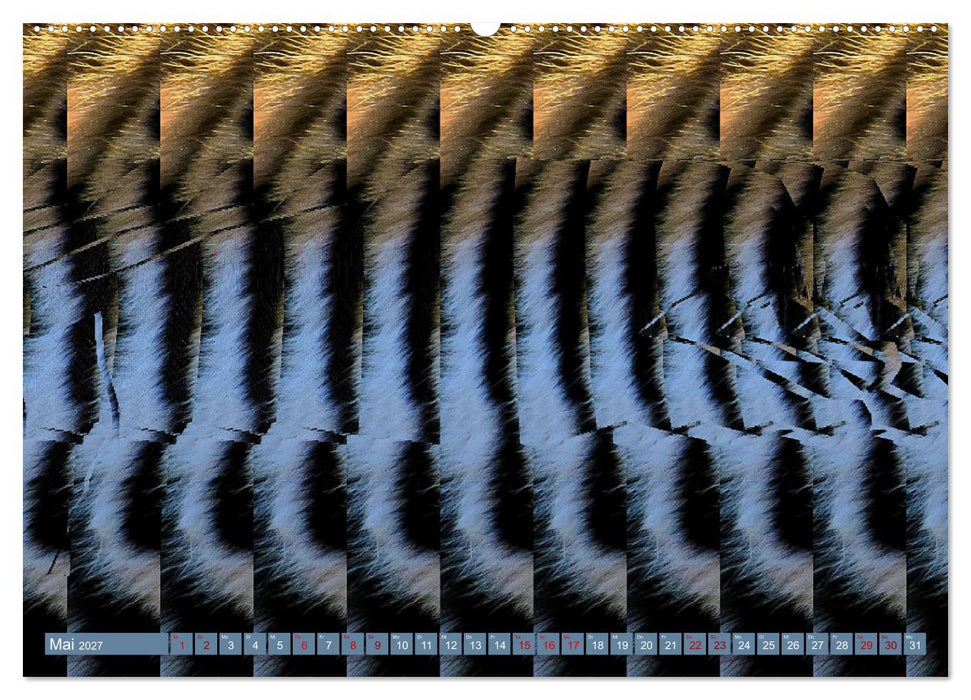 Magische Bilder - fantastische Stereogramme (CALVENDO Wandkalender 2027)
