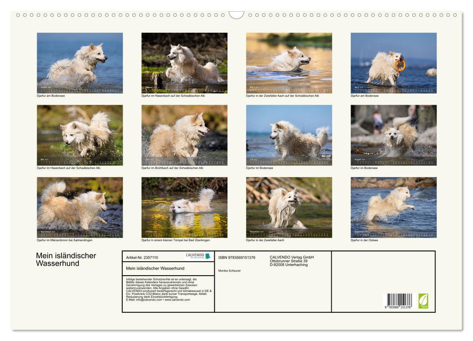 Mein isländischer Wasserhund (CALVENDO Wandkalender 2027)