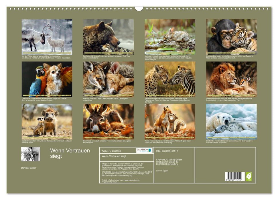 Wenn Vertrauen siegt (CALVENDO Wandkalender 2027)