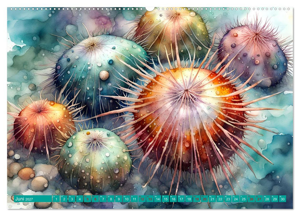 Meereskreaturen - Lebendige Unterwasserwelt (CALVENDO Wandkalender 2027)
