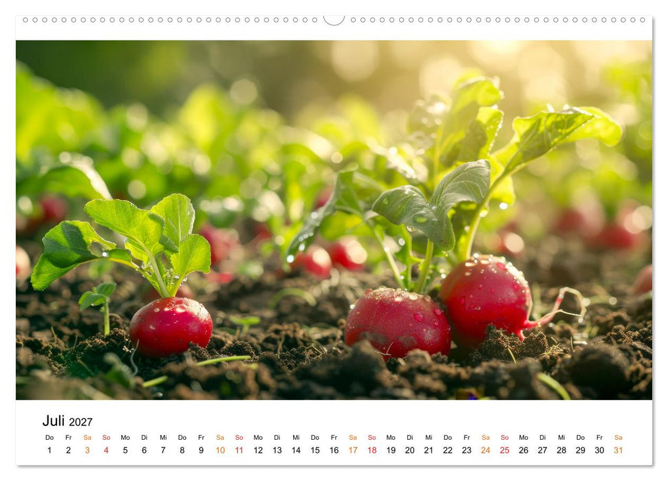 Gemüse für Gourmets (CALVENDO Premium Wandkalender 2027)