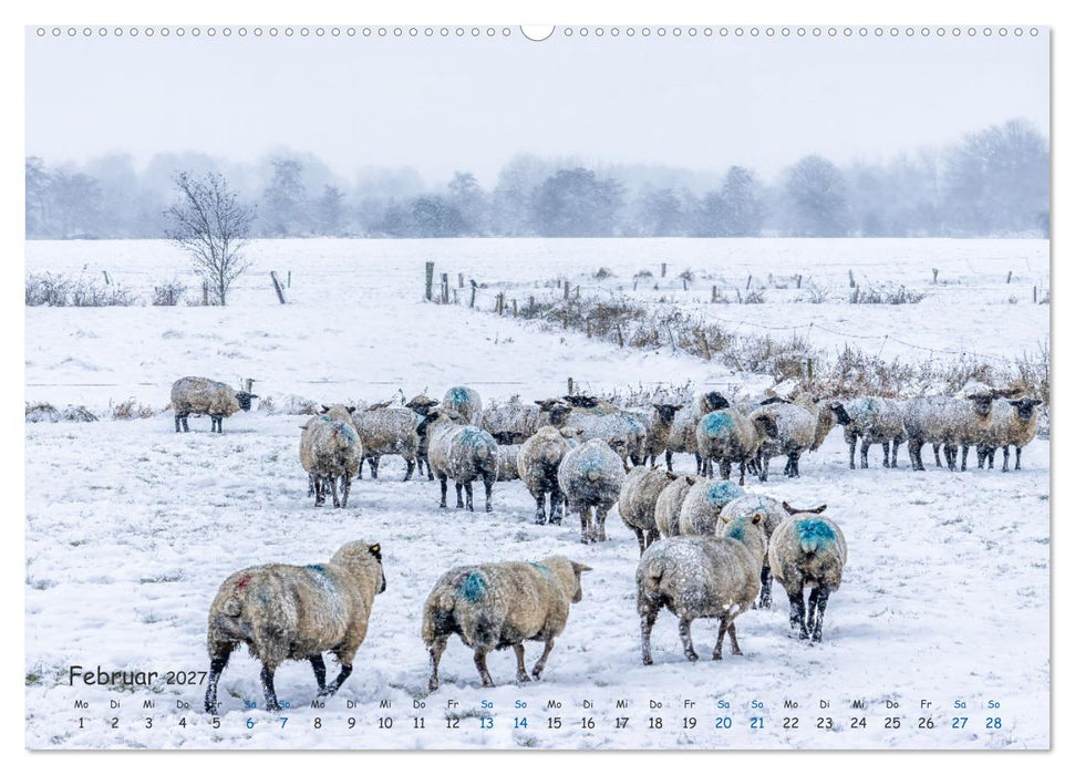 Westküste - Zwischen St. Peter Ording, Büsum und Elbe (CALVENDO Premium Wandkalender 2027)