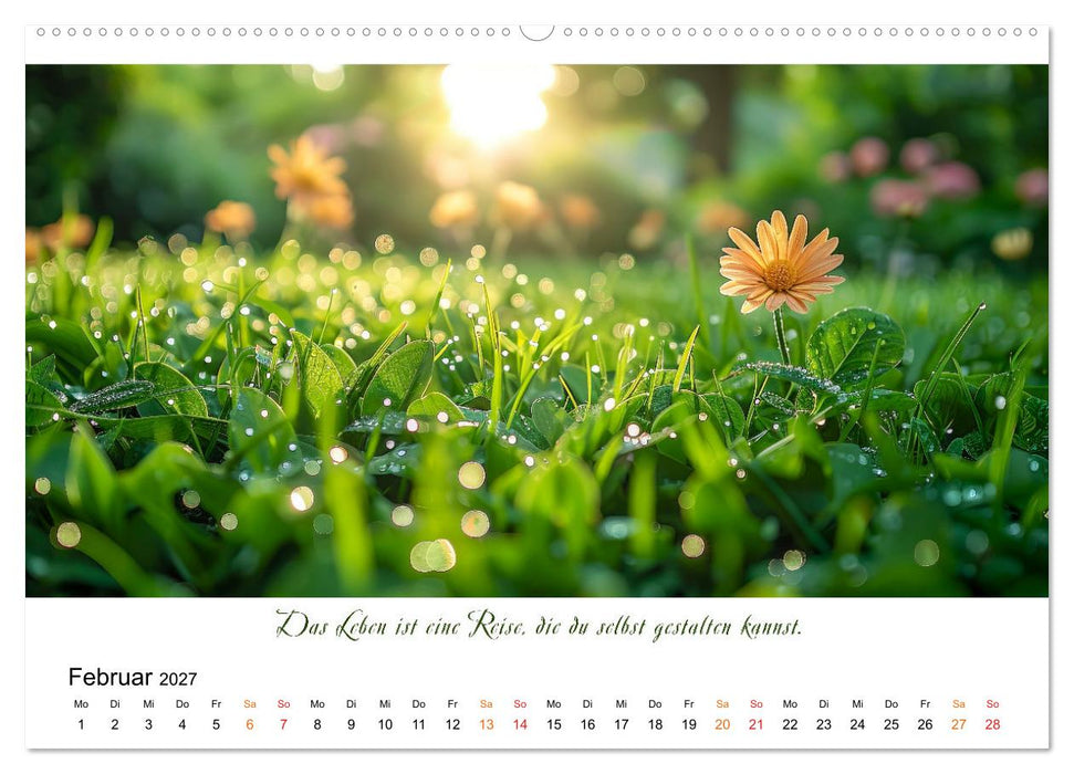 Freu Dich Motivations-Kalender (CALVENDO Premium Wandkalender 2027)