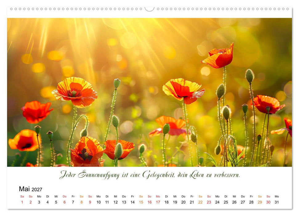 Freu Dich Motivations-Kalender (CALVENDO Premium Wandkalender 2027)