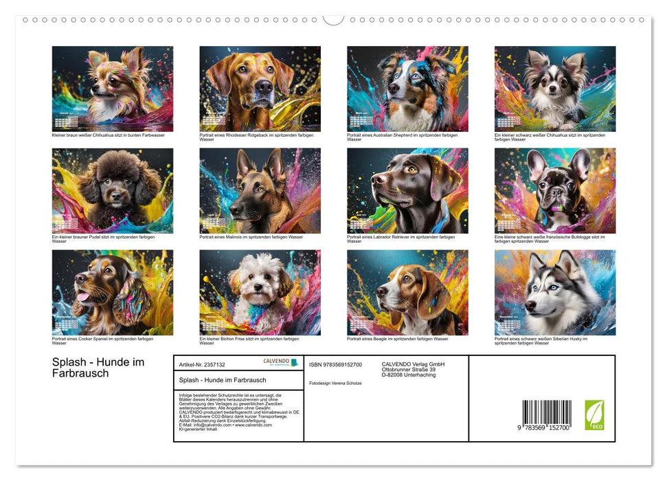 Splash - Hunde im Farbrausch (CALVENDO Premium Wandkalender 2027)