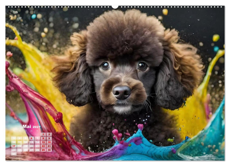 Splash - Hunde im Farbrausch (CALVENDO Premium Wandkalender 2027)