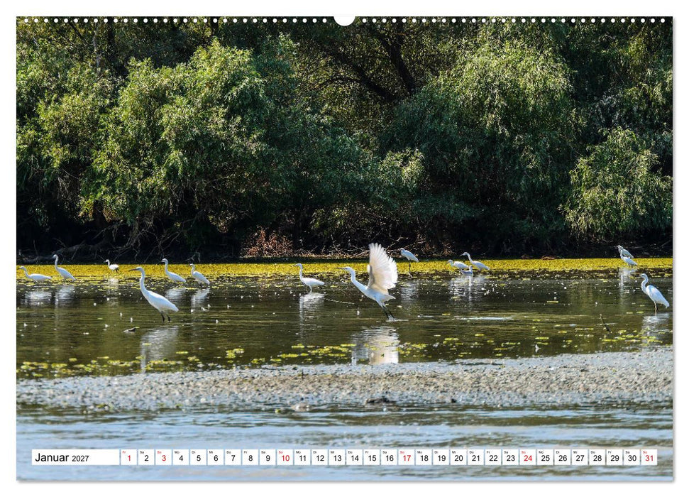 Rund um das Donaudelta (CALVENDO Premium Wandkalender 2027)