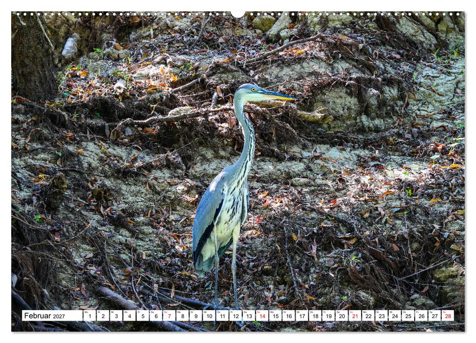 Rund um das Donaudelta (CALVENDO Premium Wandkalender 2027)