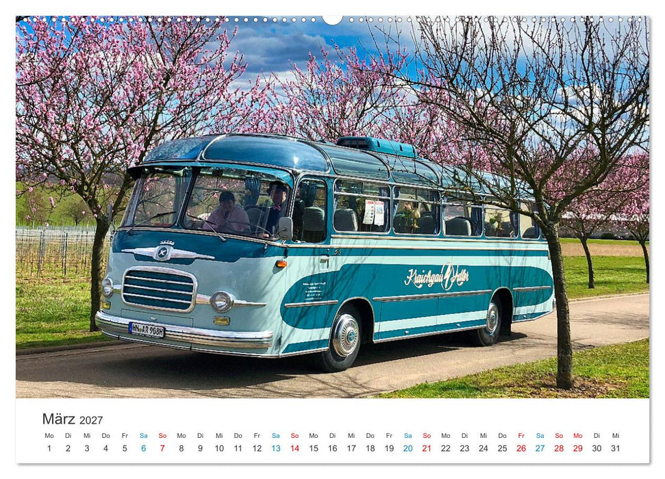 Omnibusse im Fokus (CALVENDO Premium Wandkalender 2027)
