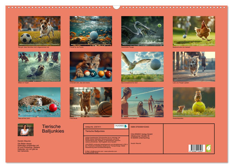 Tierische Balljunkies (CALVENDO Wandkalender 2027)