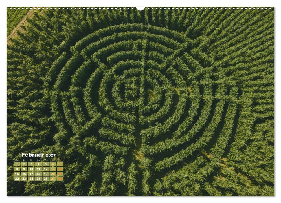 Wunderschöne Cannabisfelder (CALVENDO Premium Wandkalender 2027)
