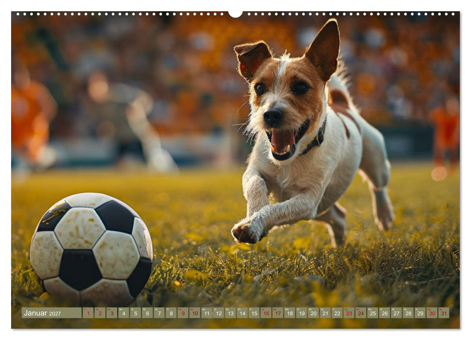 Tierische Balljunkies (CALVENDO Premium Wandkalender 2027)