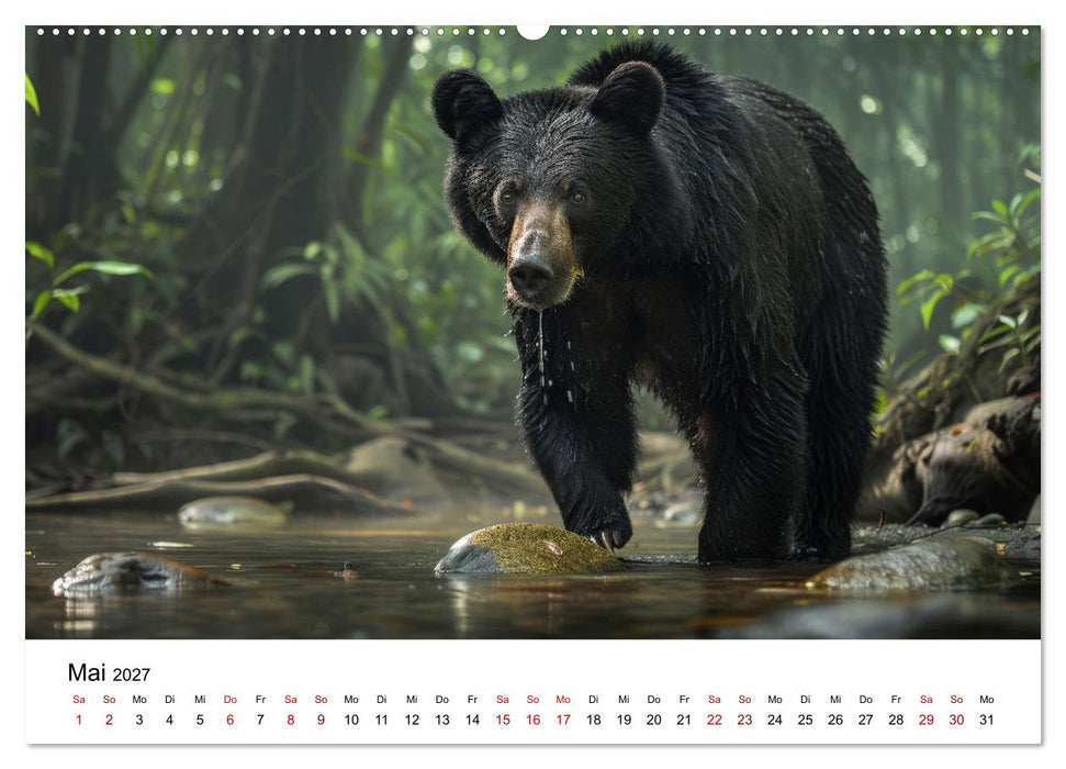 Magische Tierwelt Asiens (CALVENDO Wandkalender 2027)