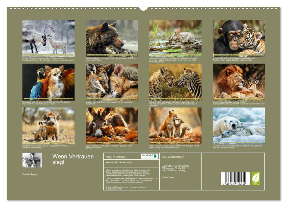 Wenn Vertrauen siegt (CALVENDO Premium Wandkalender 2027)