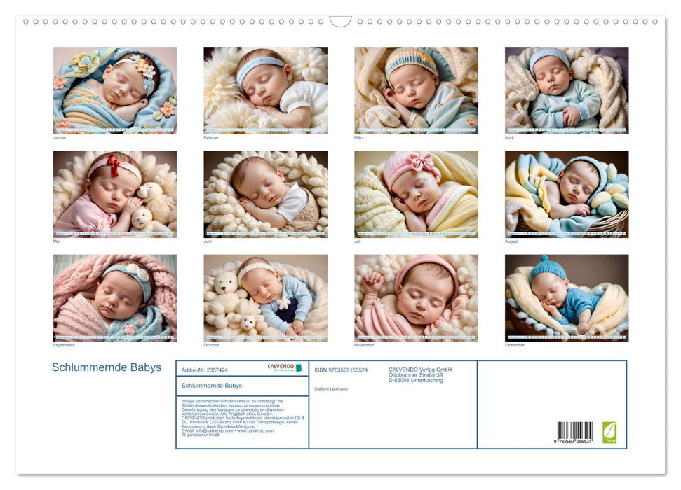 Schlummernde Babys (CALVENDO Wandkalender 2027)