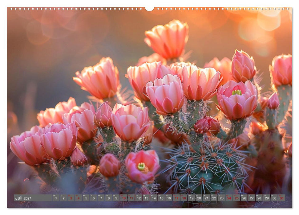 Kaktussi (CALVENDO Premium Wandkalender 2027)