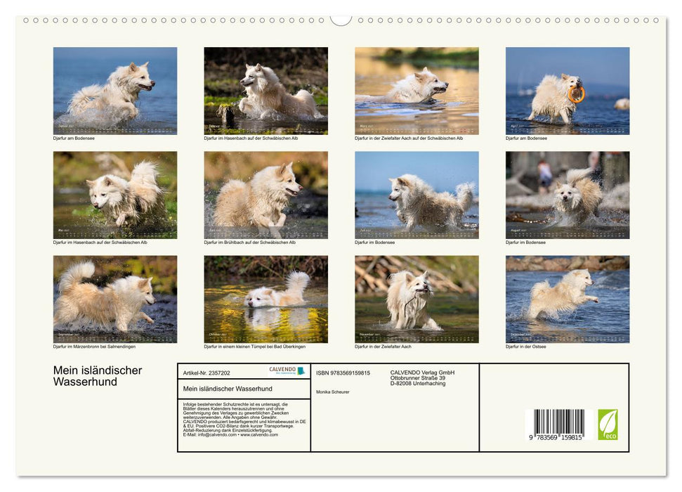 Mein isländischer Wasserhund (CALVENDO Premium Wandkalender 2027)
