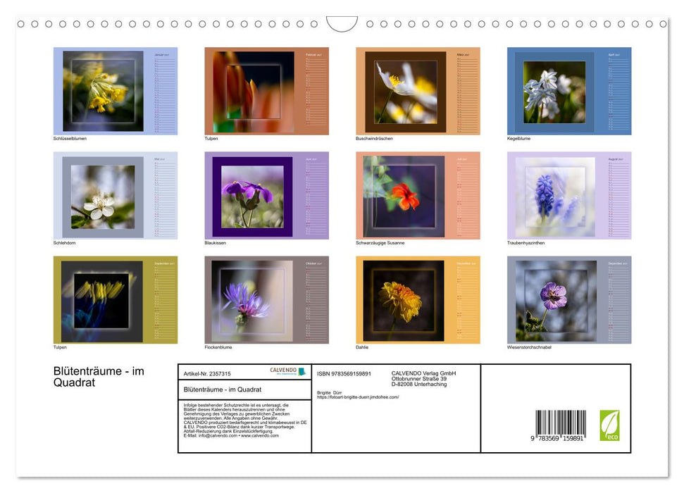 Blütenträume - im Quadrat (CALVENDO Wandkalender 2027)