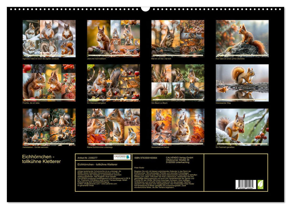 Eichhörnchen - tollkühne Kletterer (CALVENDO Wandkalender 2027)