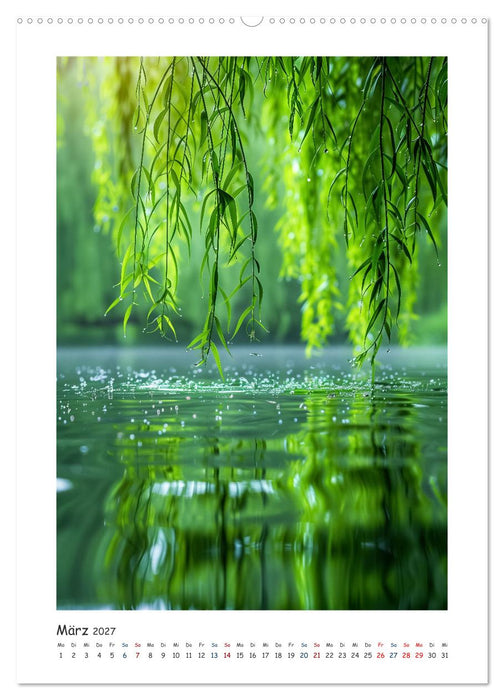 Die Bedeutung von Wasser (CALVENDO Premium Wandkalender 2027)
