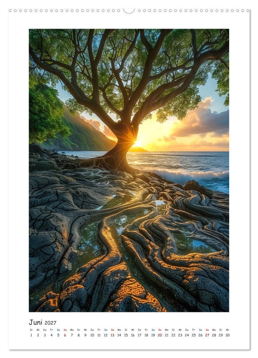 Die Bedeutung von Wasser (CALVENDO Premium Wandkalender 2027)