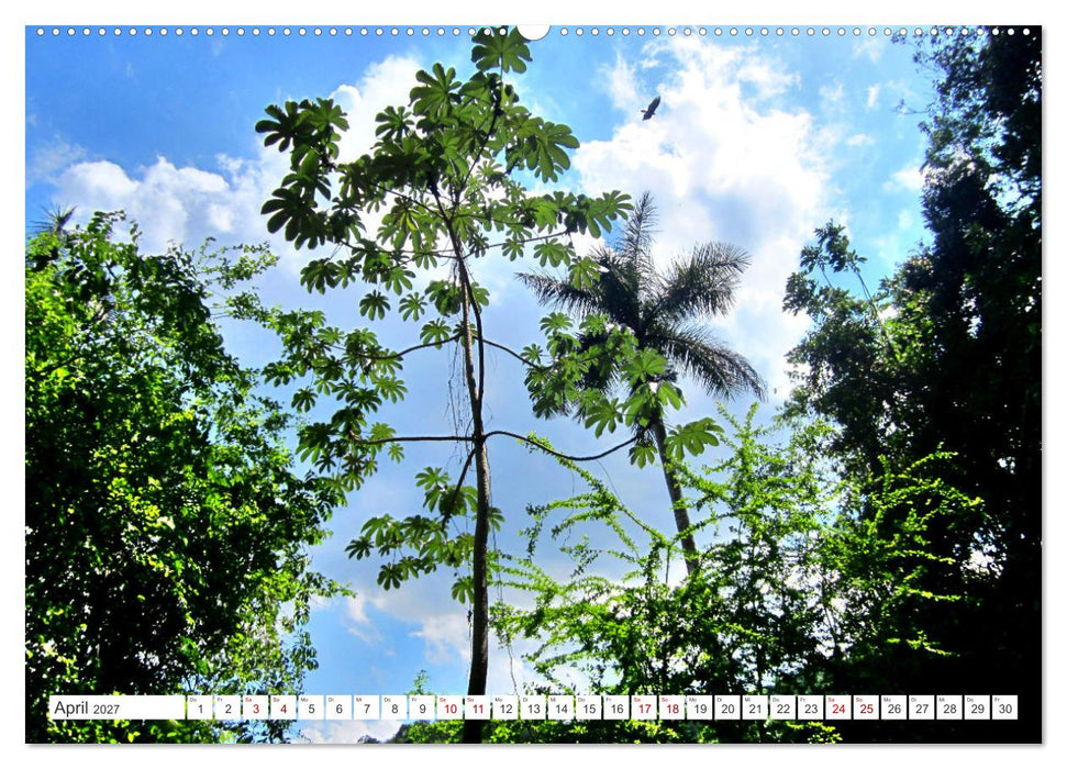 Naturjuwel Soroa - Ein Stück vom Paradies auf Kuba (CALVENDO Premium Wandkalender 2027)