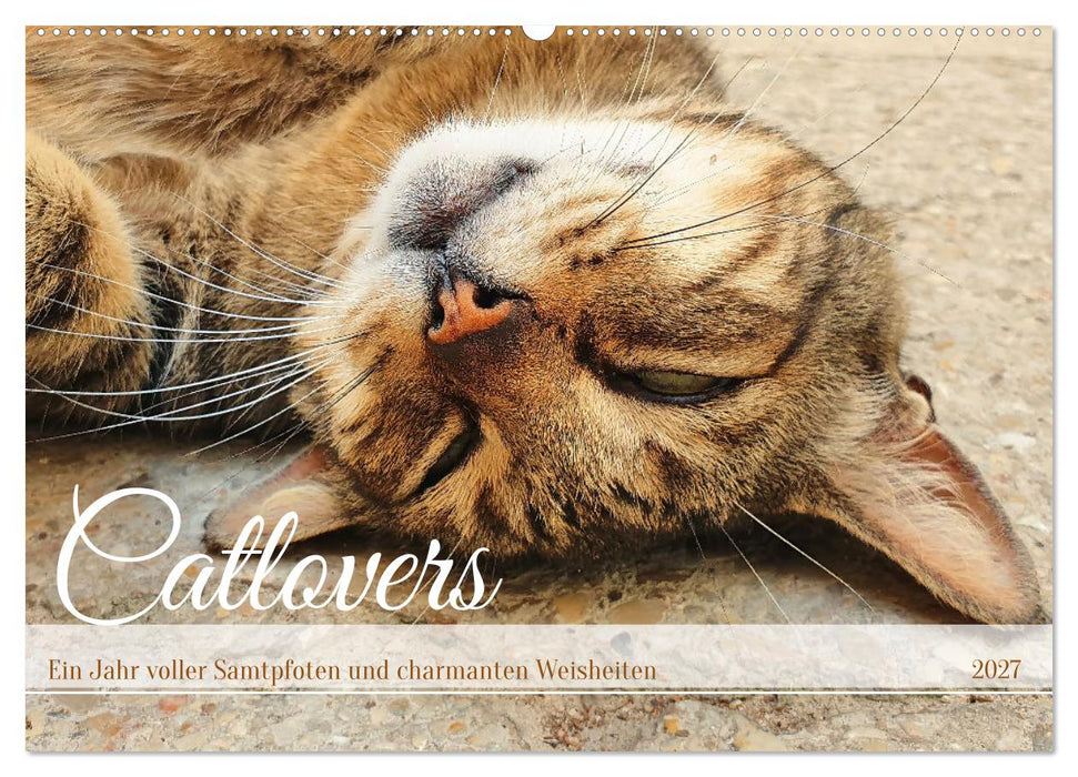 Catlovers - Ein Jahr voller Samtpfoten und charmanten Weisheiten (CALVENDO Wandkalender 2027)
